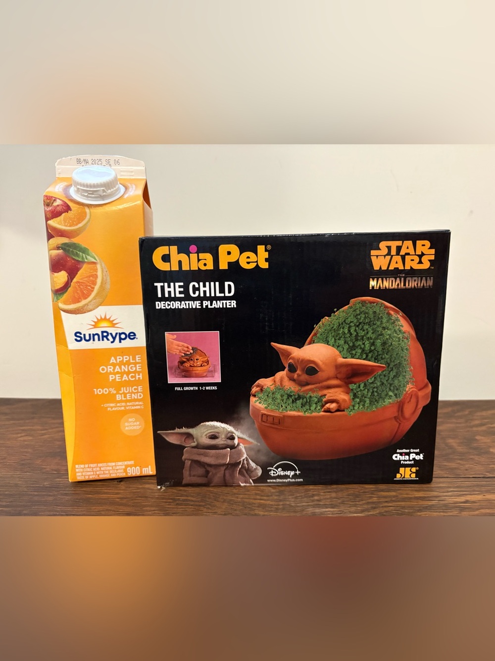 Star Wars.. the Mandalorian ..Chia Pet, The Child..decorative planter